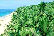 Kerala - The Magical Journey, Magical Journey of Kerala India